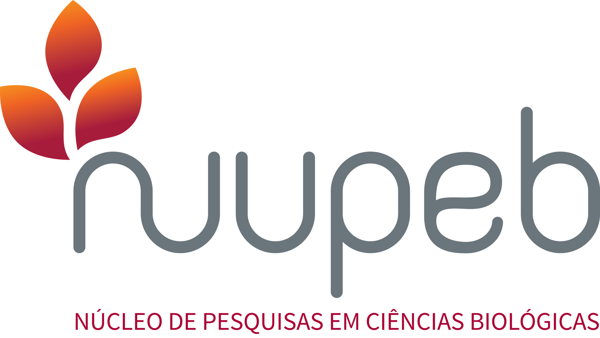 Logo NUPEB